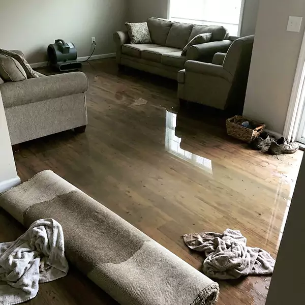 Flood Restoration in Mesa, AZ