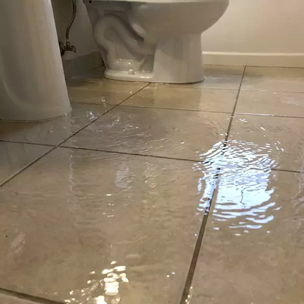 Expert Flooded Bathroom Restoration in Mesa, AZ 