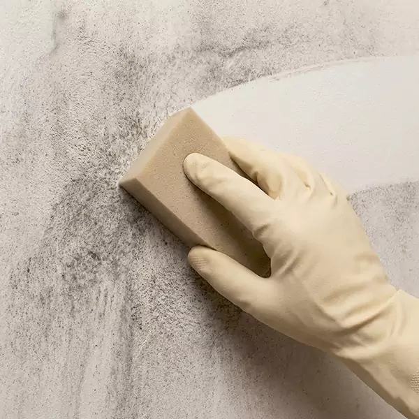 Smoke Cleaning in Mesa, AZ 