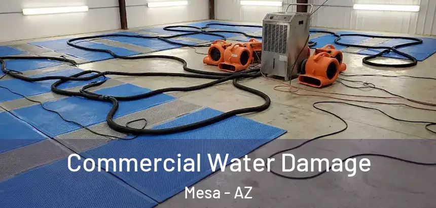 Commercial Water Damage Mesa - AZ