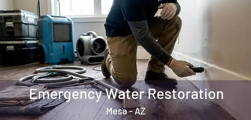  Emergency Water Restoration Mesa - AZ