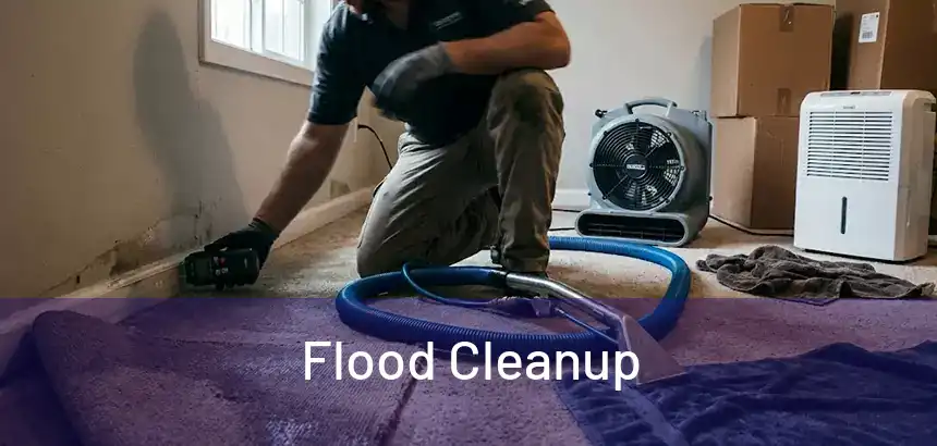  Flood Cleanup 