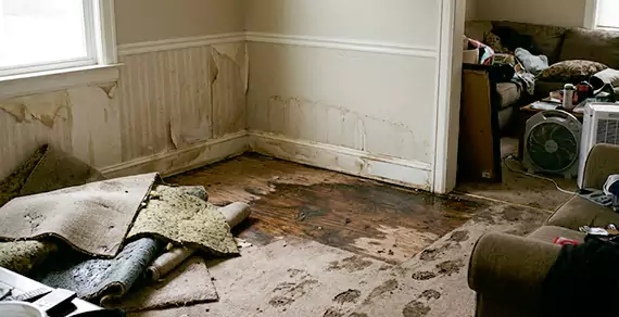 Why Choose Mesa Water Damage Pro For Water Damage Restoration Services in Mesa, AZ?