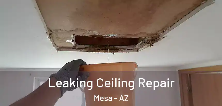Leaking Ceiling Repair Mesa - AZ