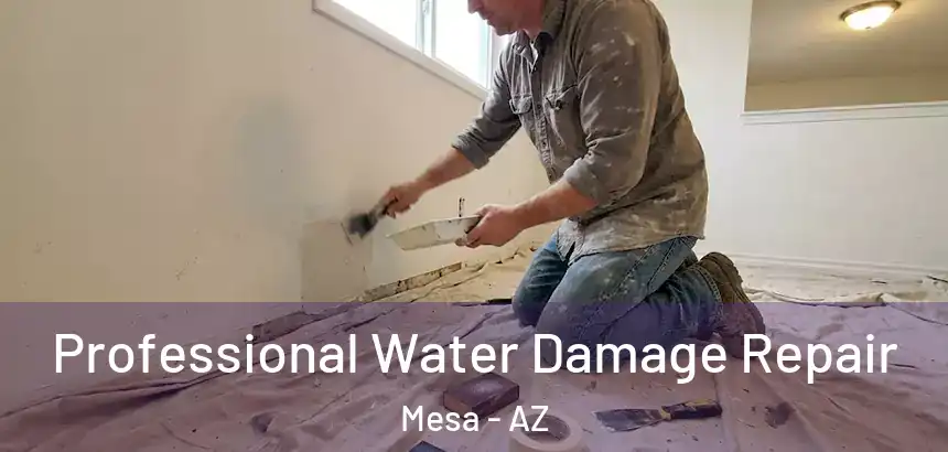 Professional Water Damage Repair Mesa - AZ