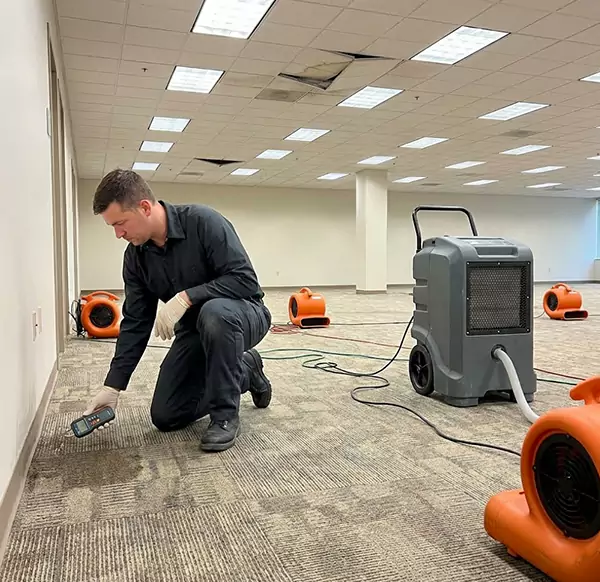 Why Businesses Choose Mesa Water Damage Pro for Commercial Water Damage in Mesa, AZ?