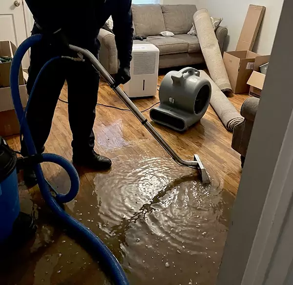 Why Homeowners & Businesses Choose Mesa Water Damage Pro for Flood Cleanup in Mesa, AZ?