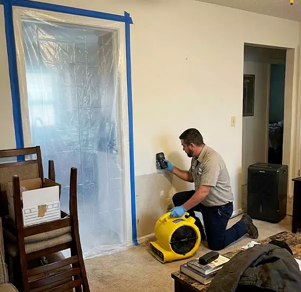 Why Homeowners & Businesses Choose Mesa Water Damage Pro for Water Remediation in Mesa, AZ?