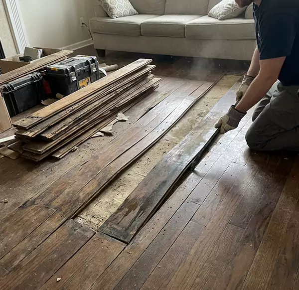 Why Choose Mesa Water Damage Pro for Wood Floor Water Damage Repair in Mesa, AZ?