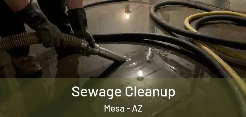  Sewage Cleanup Mesa - AZ
