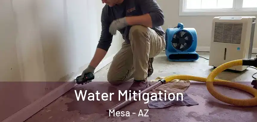 Water Mitigation Mesa - AZ
