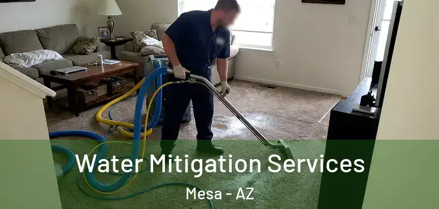 Water Mitigation Services Mesa - AZ