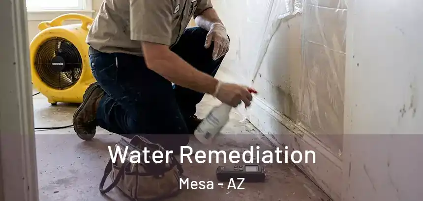  Water Remediation Mesa - AZ