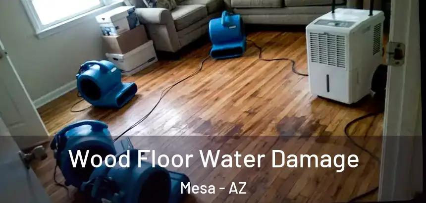  Wood Floor Water Damage Mesa - AZ